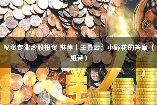 配资专业炒股投资 推荐丨王景云：小野花的答案（组诗）