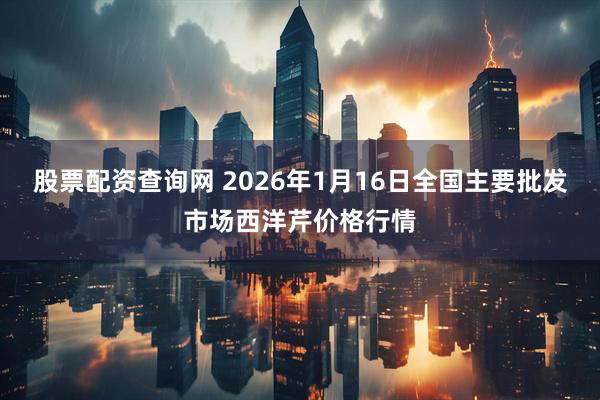 股票配资查询网 2026年1月16日全国主要批发市场西洋芹价格行情